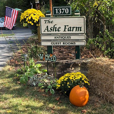 Bed and Breakfast The Ashe Farm à Marshall Extérieur photo
