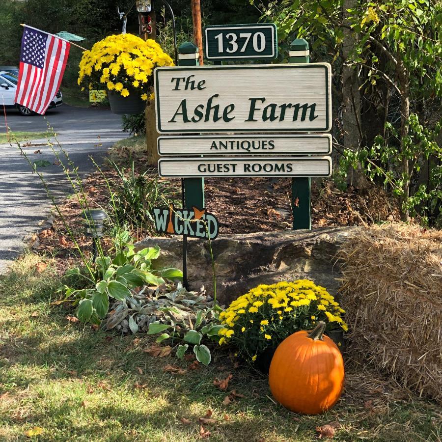Bed and Breakfast The Ashe Farm à Marshall Extérieur photo